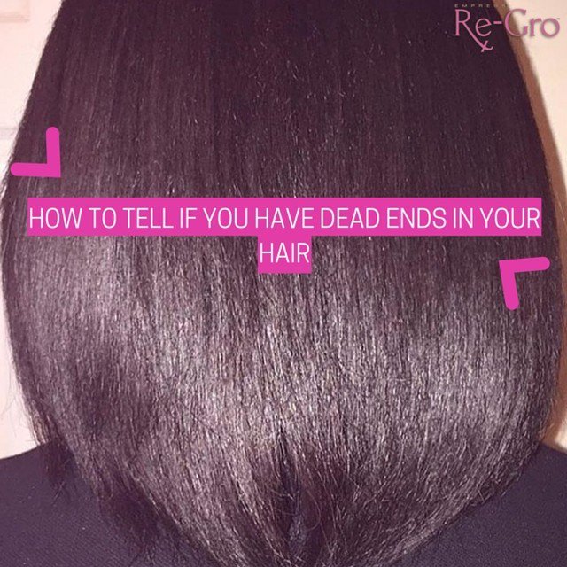 myregro's tweet photo. Share with us how you can tell if you have dead ends in your hair. #NaturalHair #RelaxedHair #MyRegro https://t.co/bKmblOW4Qa