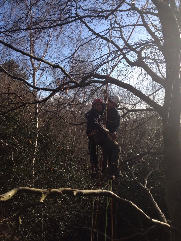 jrtrenchard's tweet photo. #tree climbing with @arborventure training on last weeks @LantraUK course https://t.co/S3KVRnbchH