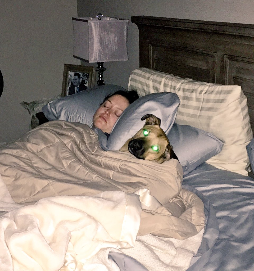 MabeltheMutt's tweet photo. Shhh...don't wake mom. https://t.co/BDP2J1HEh6