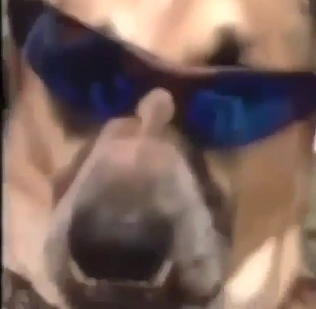 DogMeat__'s tweet photo. DogMeat: Always on the roll to fuck yo bitch https://t.co/JcWzR8omht