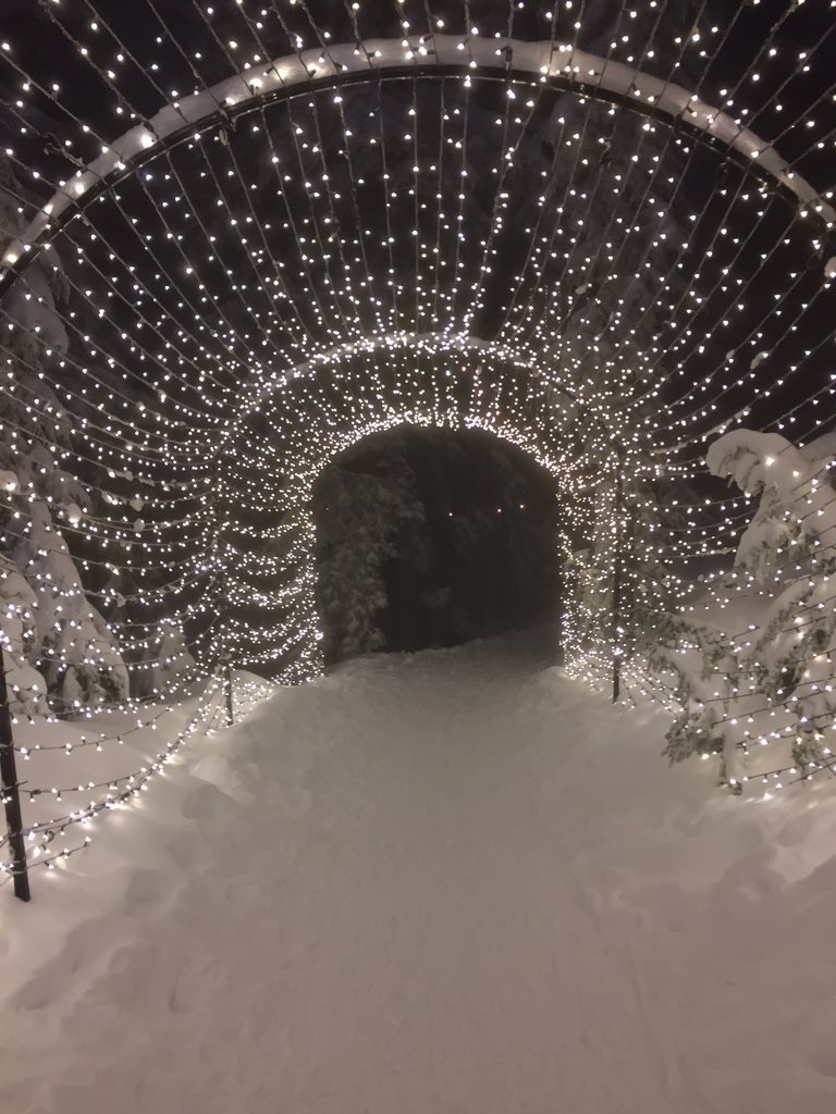 greengirl17's tweet photo. #peakstreak view last night - #thelightwalk #grousemountain https://t.co/JVDAV1Ckmi