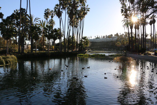 iwillloveseries's tweet photo. Echo Park lake daze. #echopark #echoparklake https://t.co/DRLVZhFe6s