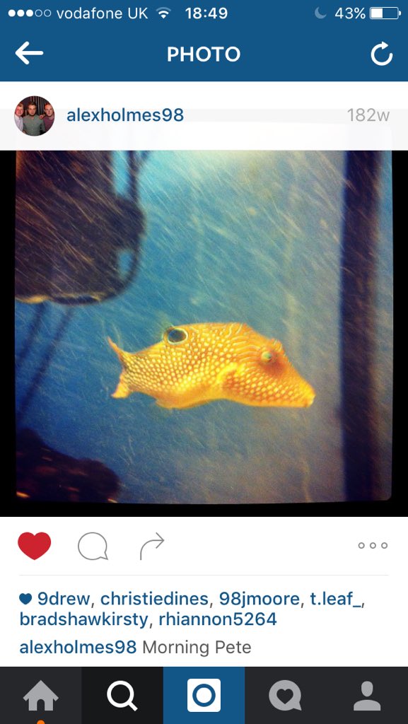 9Drew's tweet image. MORNING PETE

@Alexx_holmes 
@JonjaminMoore