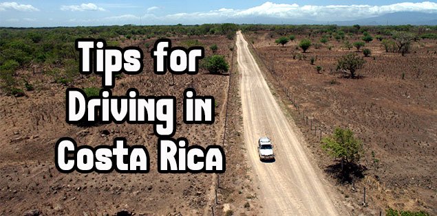 Mytanfeet's tweet photo. Tips for driving in #CostaRica. Yes you need to watch out for cows! https://t.co/FVyqVW6G83 #traveltips https://t.co/MHJnEur32q