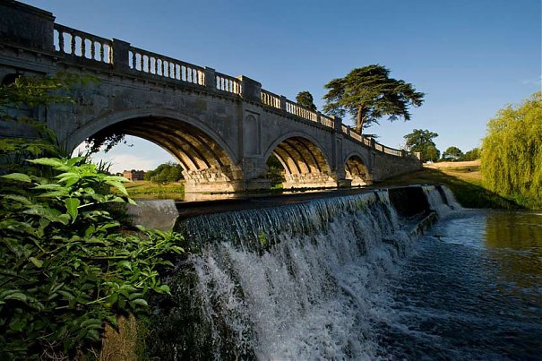 Simply stunning! #BrocketBeauty