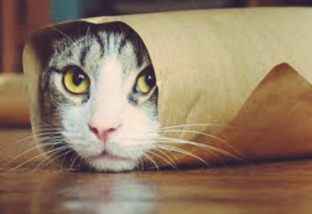 TomsGrevins's tweet image. #radiobattleLV