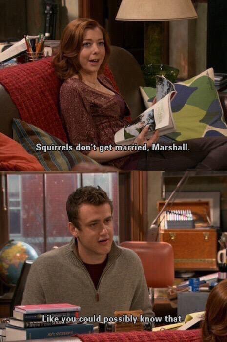 RealWJSquirrel tweet picture