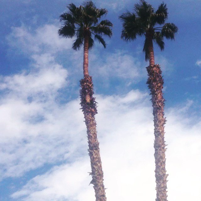 LifeAtWarpSpeed's tweet photo. Dear West Coast Winters, you're not so bad. #hyperlapse #timelapse #15north by bert15north https://t.co/SK1dgbpwYs https://t.co/BHOGETzqrn