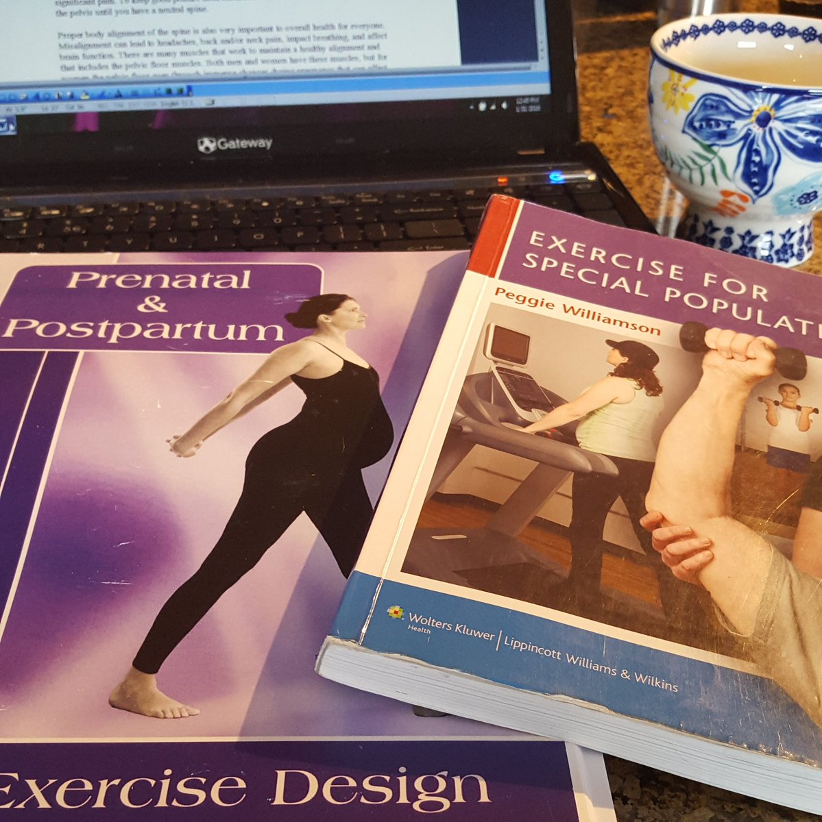 Never stop learning.
Next prenatal blog is out tomorrow, discussing important muscles to strengthen while pregnant!