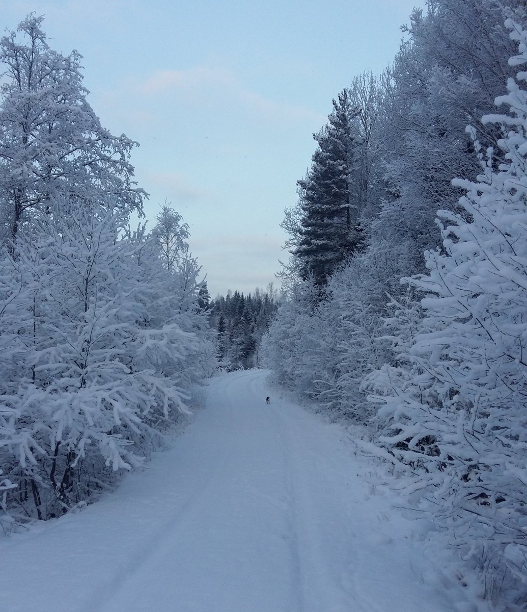 superarkea's tweet photo. Blogissa: Kysymykset, jotka eliminoivat stressin https://t.co/MhttN0Nhnh #superarkea https://t.co/45wUGWZ94R