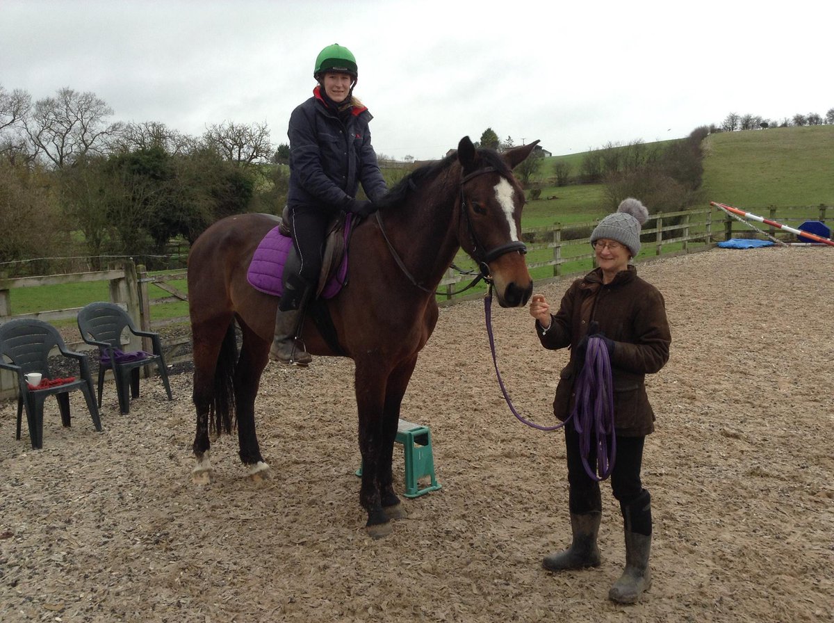 Charlottejeffes's tweet photo. Sitting on 4yo Humphrey for the very first time. @EquineHour #equinehour #futureBYEH #Indoctro FOLLOW ME for updates https://t.co/OvDjP3qGyA