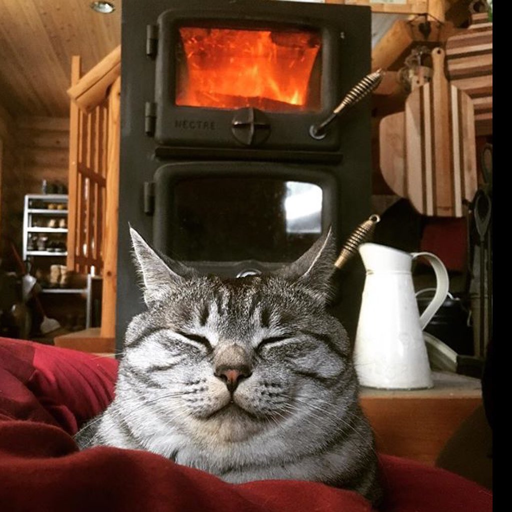 nectre_fire's tweet photo. Ryan looks like he is in heaven #meowmonday #nectre #originalbakersoven #japan #woodfire #australianmade https://t.co/MuFiQis3b3