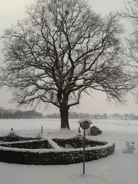 HERBIRD's tweet image. Een nieuwe maand #firstoffebruary  Komt de winter terug ? 
Het lijkt er deze week nog niet van te komen ! #seasons