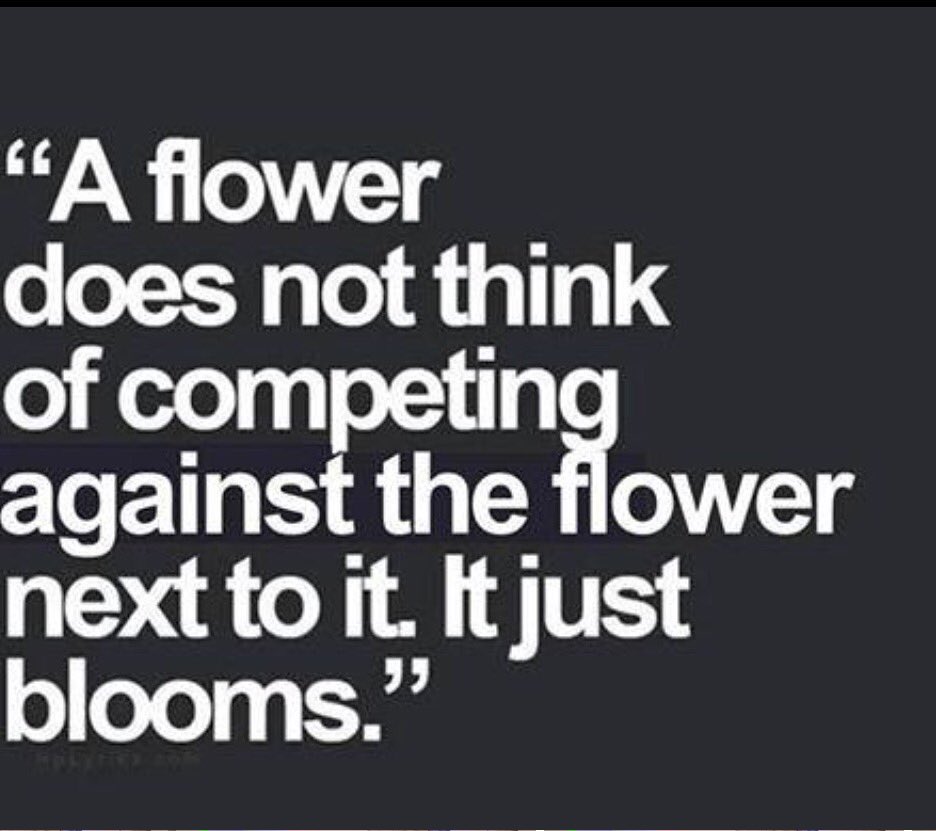 ideabox_yo's tweet photo. #ilovethis #justbloom #healthylifestyle #LoveYourself https://t.co/bXLRXHeXJr