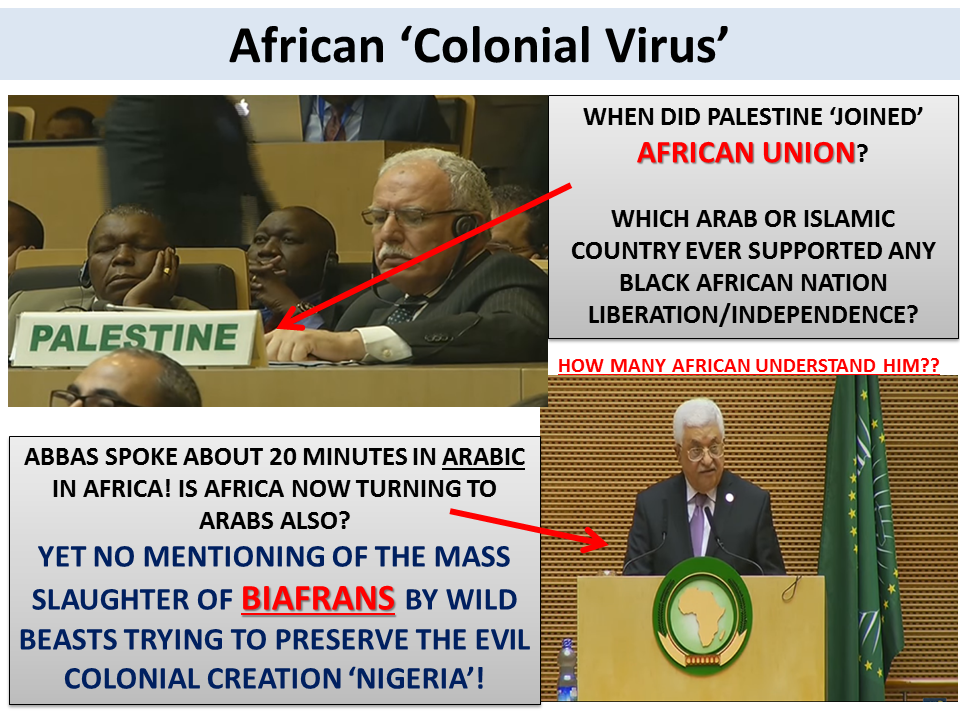 <a href="/_AfricanUnion/">African Union</a> <a href="/AU_PSD/">AU_PSD</a> <a href="/AfricaFiles/">AfricaFiles News</a> Seriously, when'll #AU learn to sort Africans out first? #26AUSummit #FreeBiafra