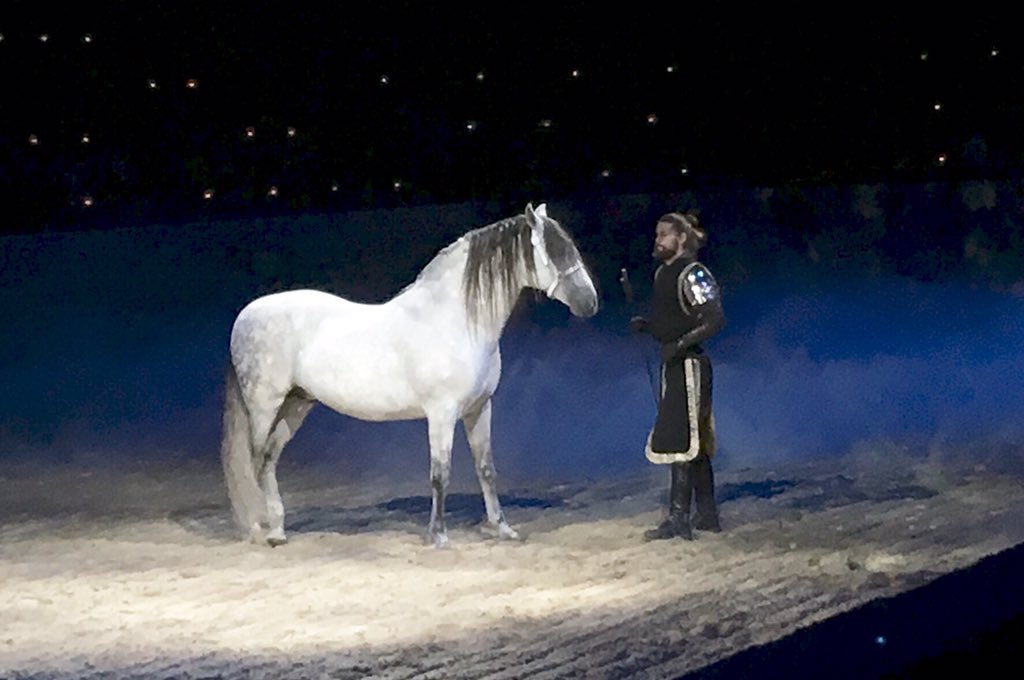 TeacherMomOfTwo's tweet photo. At @TorontoCastle for #MedievalTimesTO. #medievaltimes #mtfan https://t.co/UKPbwJRctp