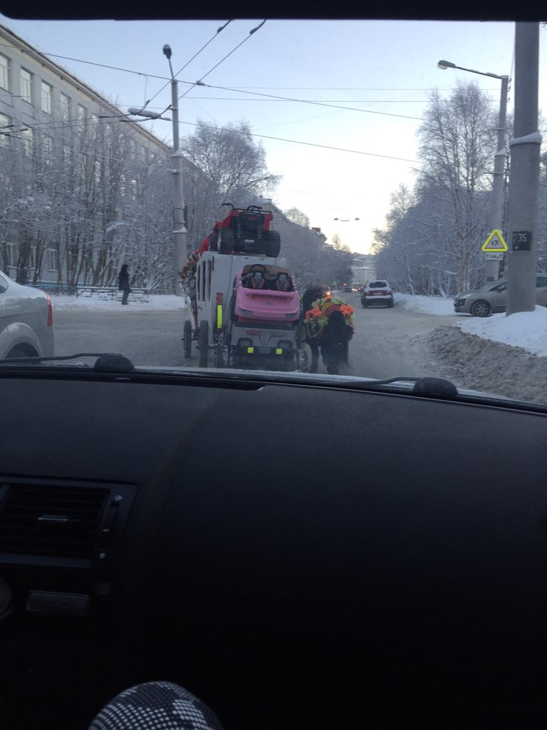 TimKovalev's tweet photo. @oliksee не ты ли это?) https://t.co/vXWWpl4Wk8