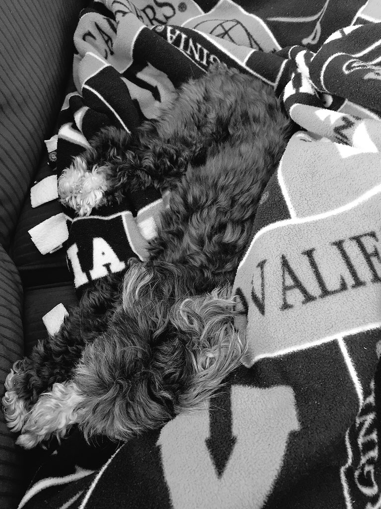 madiwasko's tweet photo. ceili sure does know how to make me feel better❤️ https://t.co/BYzNB0gEKM