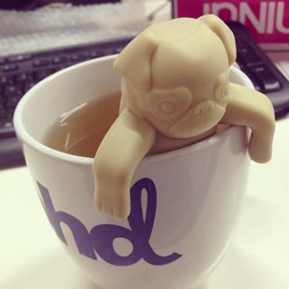 Pug in a mug anyone? #pug #tea #puginamug #phdsydney #officeentertainment findelight.net/puggie_detail.…