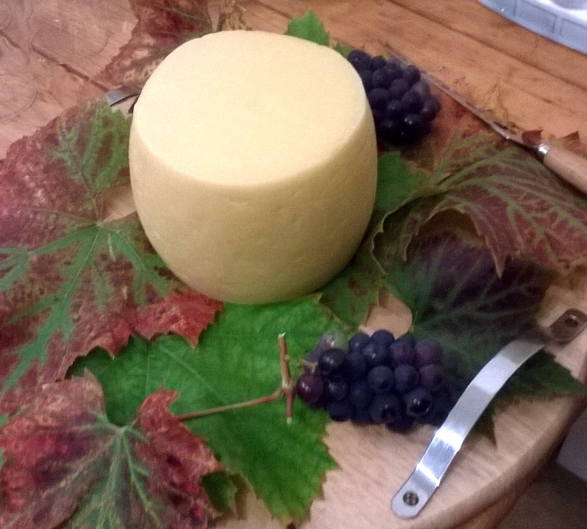 Bradfields_Farm's tweet photo. Our blog about our new cheese maturing room and cheese being made.
https://t.co/xCiV8E2hjI https://t.co/XLhfMP8Zva