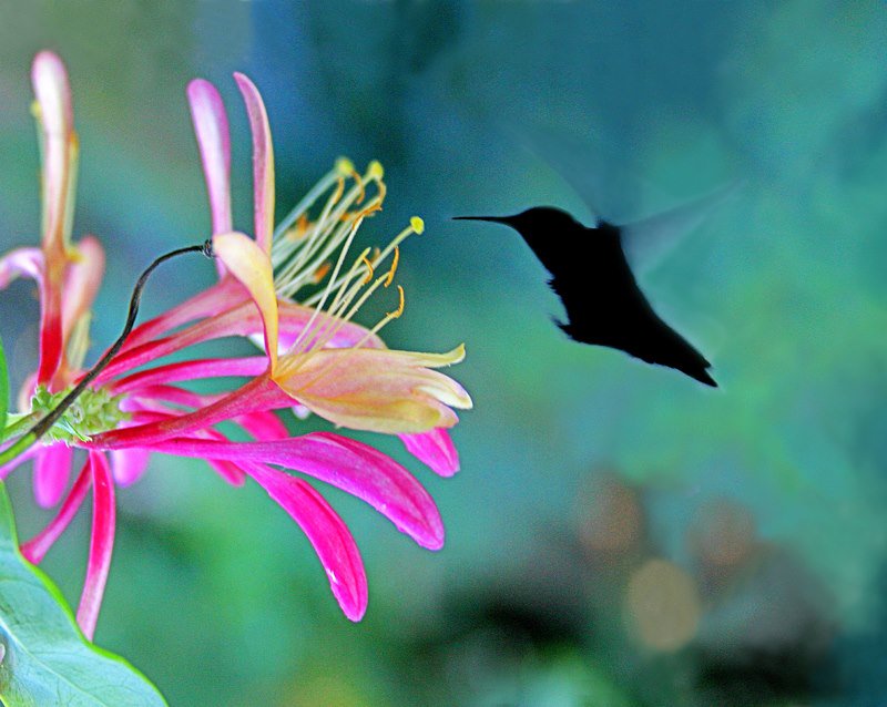 MagDesignsLLC's tweet image. Thank you for joining us yesterday for our exciting events! Debbie Lynn Zwiebach, Nan Thompson, Randy Sauceda