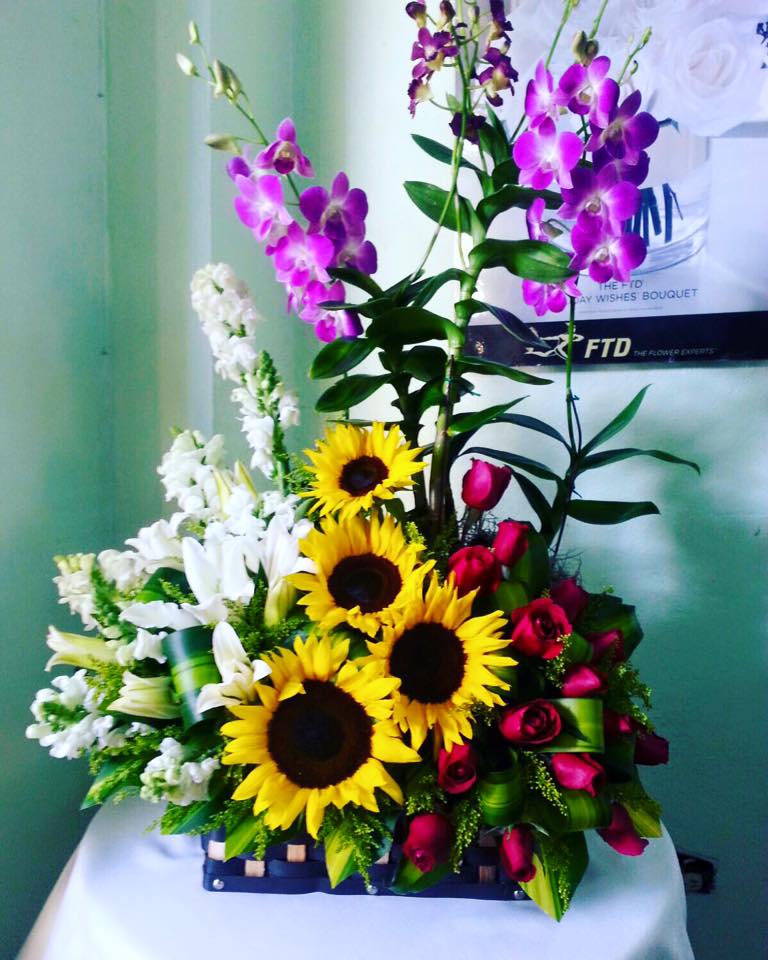 cediflor's tweet photo. Qué felicidad le darías a ese ser amado que el 👀 llegar a la puerta de su hogar #Cediflor 809.532.7777 https://t.co/3omxrgFReQ