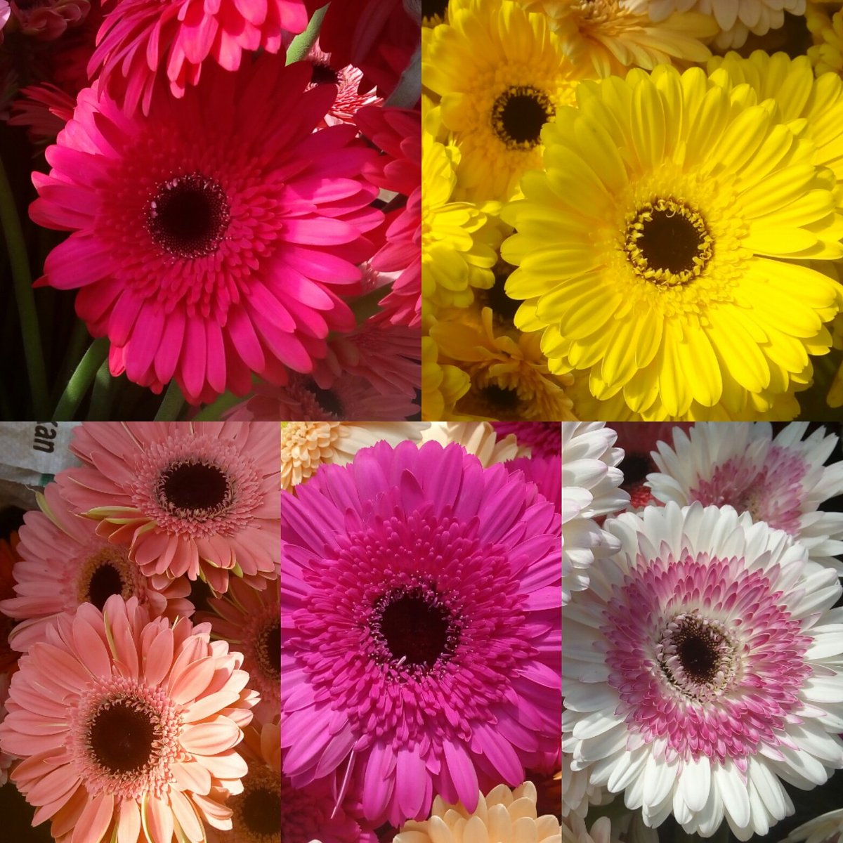 lbff1446's tweet image. facebook.com/groups/4743397…