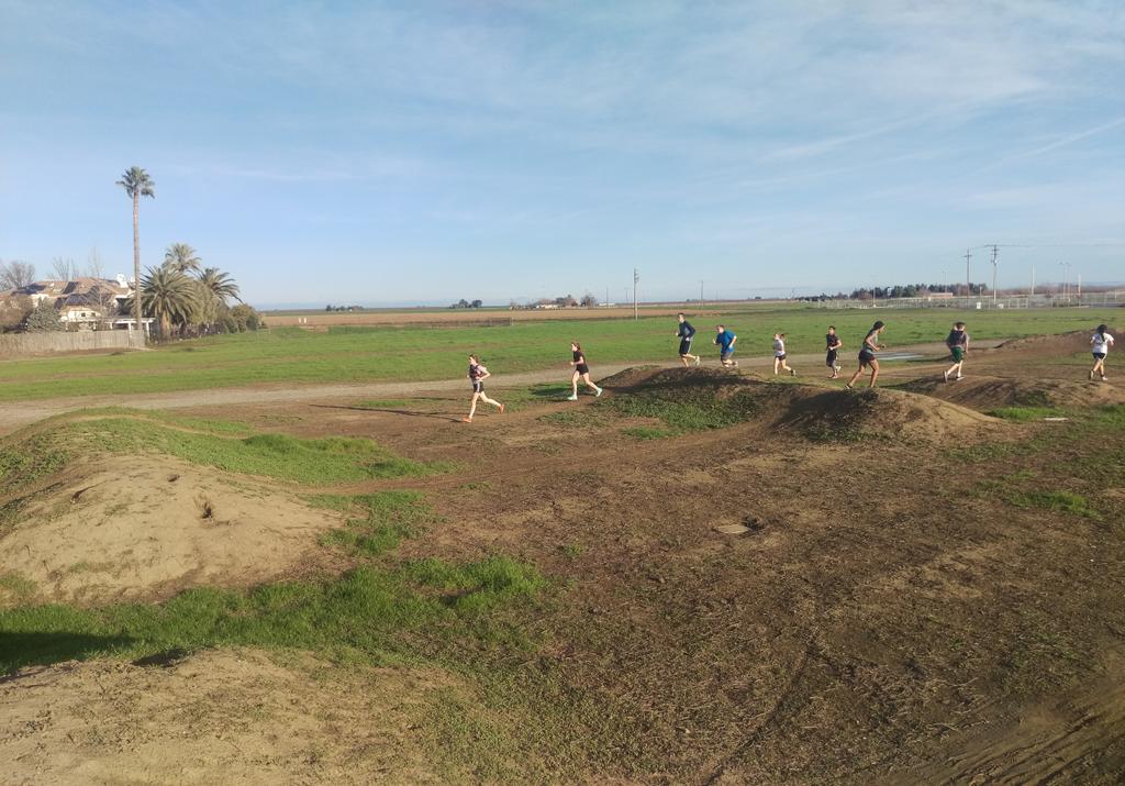 BiggPotier's tweet image. We go hard..