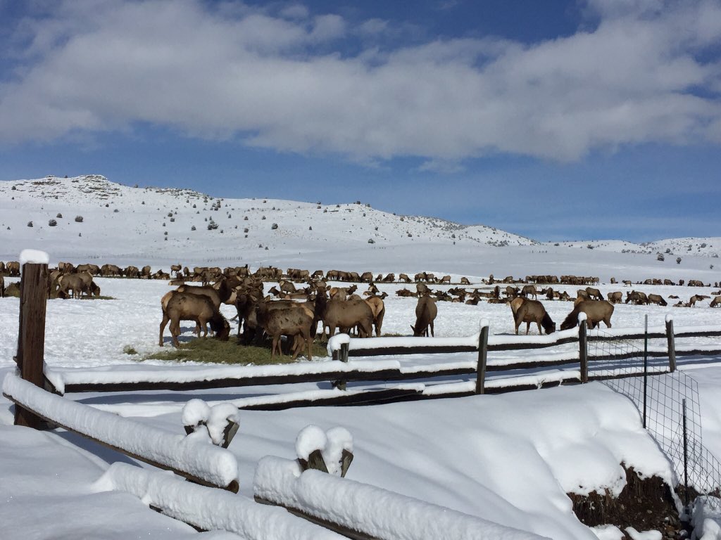OATHUtah's tweet photo. Must for all ages .@UtahDWR #hardwareranch https://t.co/MeYlocE9Du