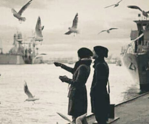 عاشقي
وجودك بحياتي يجعلني اخجل ان
اتمنى شيئا اخر⭐