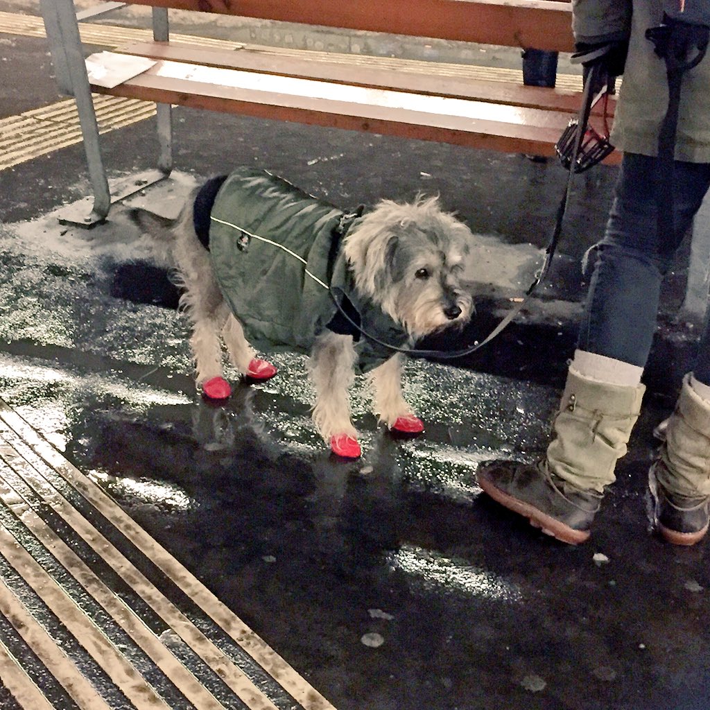 ade_adutzu's tweet photo. #rainyday got me like https://t.co/5pmaMpb892