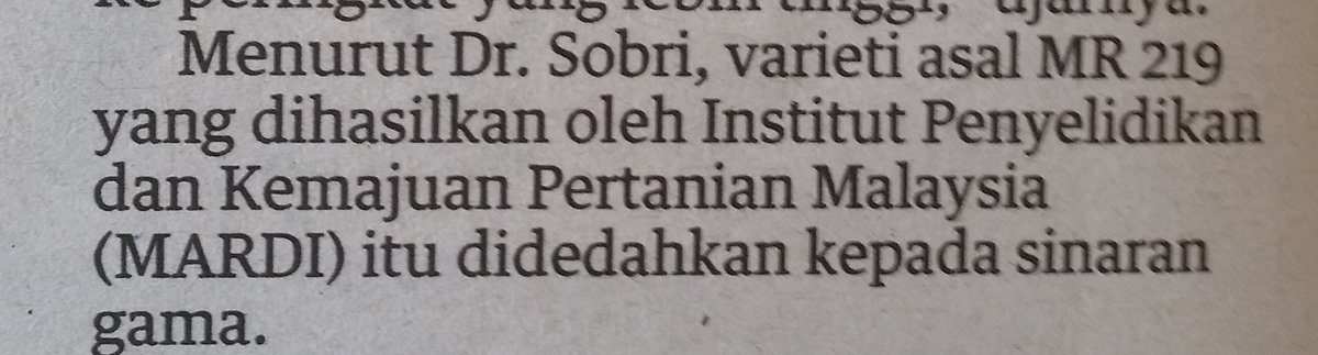 AizatZawawi's tweet photo. Berita Mengenai padi hasil penyelidikan MARDI di Utusan Msia hari ini..ms1&amp;2,sisipan Mega..TK Utusan https://t.co/Od9Ep24a31