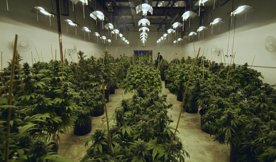 TheDarkStudy's tweet photo. A Major Problem With Colorado's #Marijuana Economy Emerged After Weed Went Legal https://t.co/kzvdXKYUP0 #Cannabis https://t.co/WVEP6fpHDa