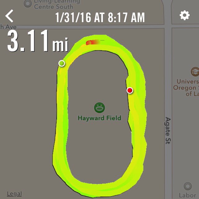 TheRoamingKiwi's tweet photo. Good Sunday morning run with @thequackheads at Hayward Field. Felt good to have @vinlananna coaching us! https://t.co/5nG37kseBY