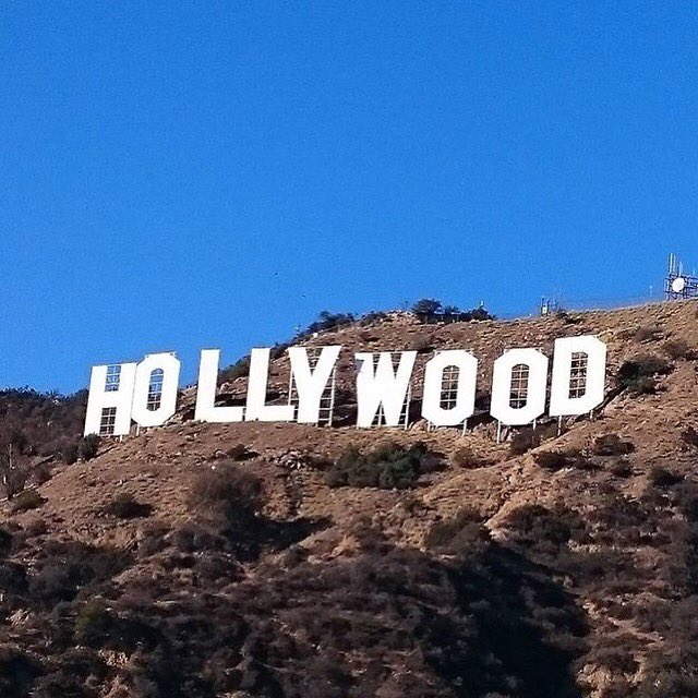 madisonjaye_'s tweet image. #MissingCali