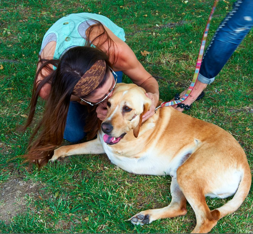 marshall_dog's tweet photo. Best kiss EVER from actress &amp; animal advocate @ShannonElizab when we on set of MARSHALL'S MIRACLE @AnimalAvengers https://t.co/BBBPKgdapr