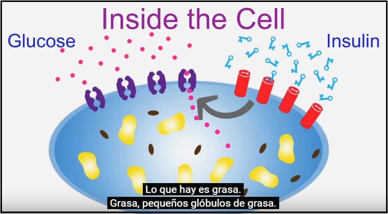 ACHACHI_co's tweet photo. @TEDx : #Alimentos para Proteger el #Cuerpo y #Mente . @DrNealBarnard .
- https://t.co/c5egihstY9 https://t.co/bGWdwgJv0C