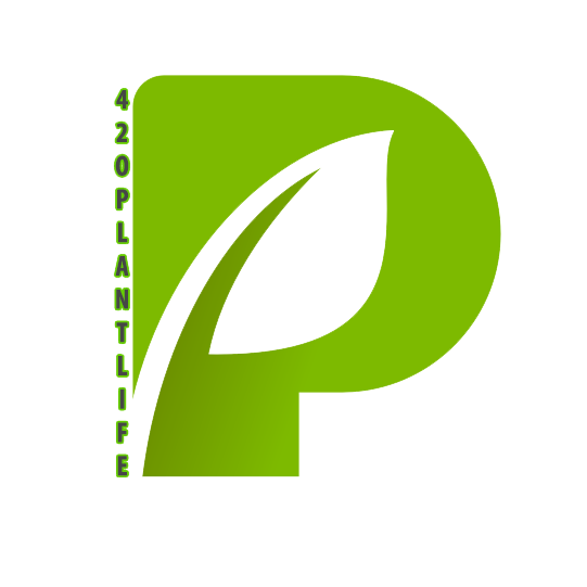 CreateLab5's tweet photo. Newly Created:
https://t.co/LQGnfaEmJB  Branding https://t.co/zTkVIHniCA