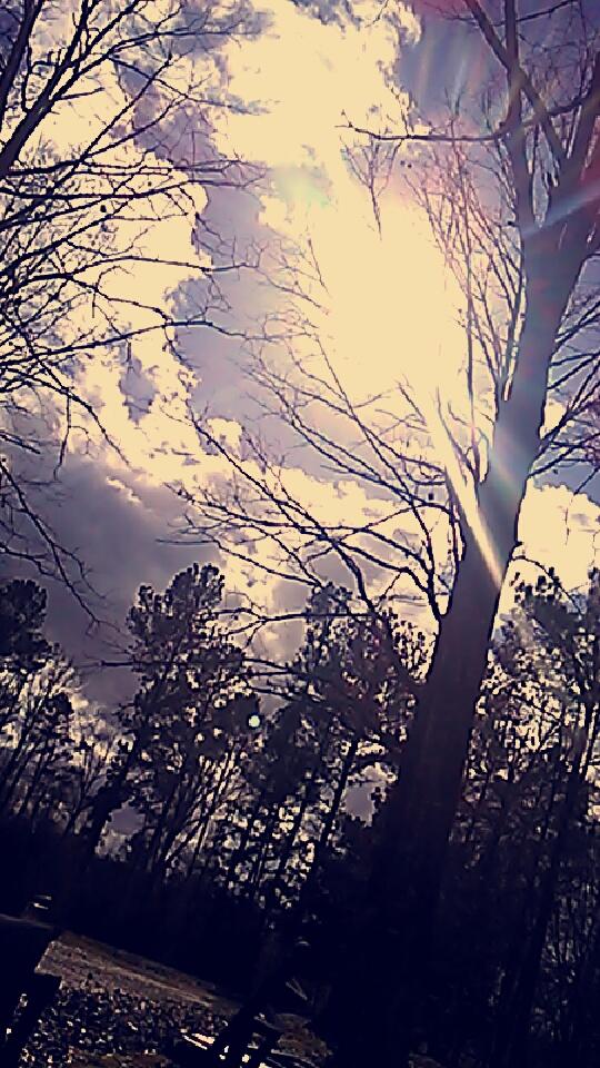 Mockingjay767's tweet image. ~yesterday