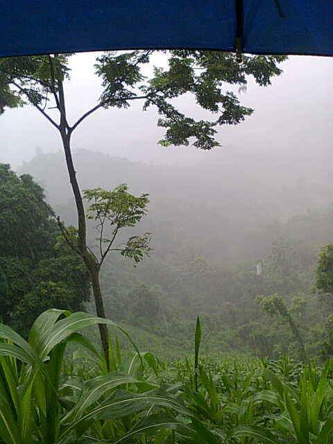 gunawan19947's tweet photo. CIANJUR TERUS DIGUYUR HUJAN https://t.co/gAmSMhth8B