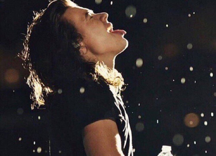 ★ One Direction ★ tweet media