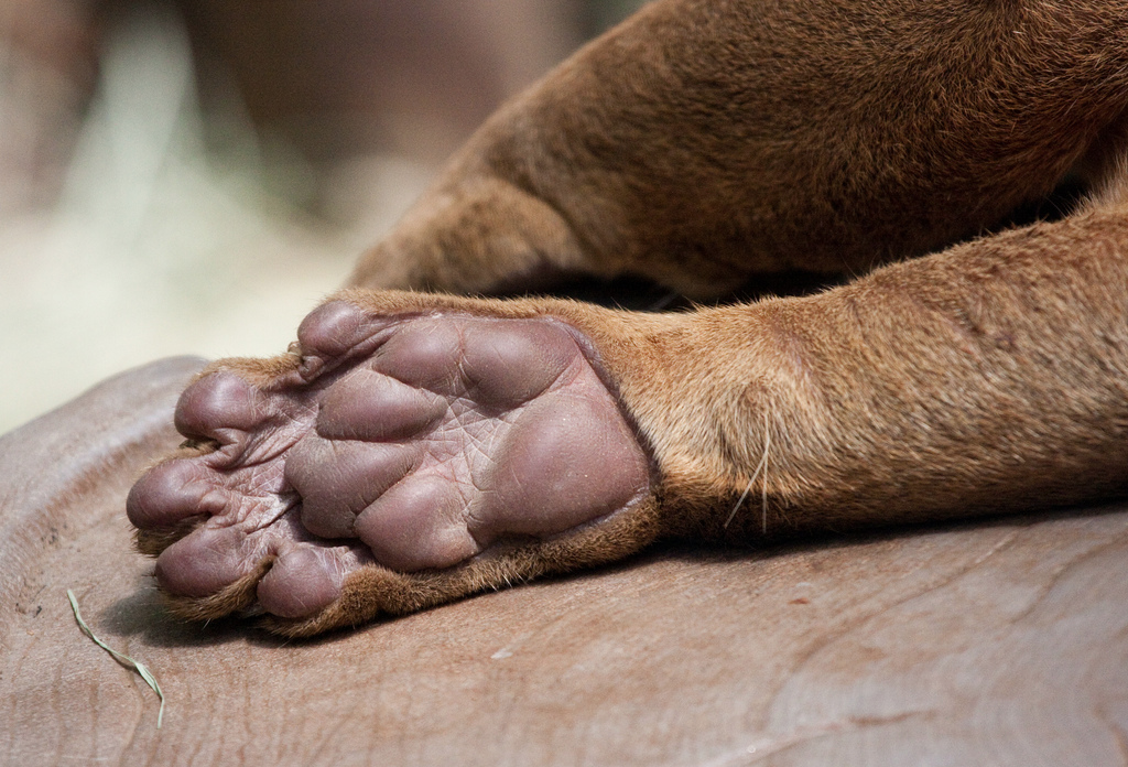 ArtSloth tweet media