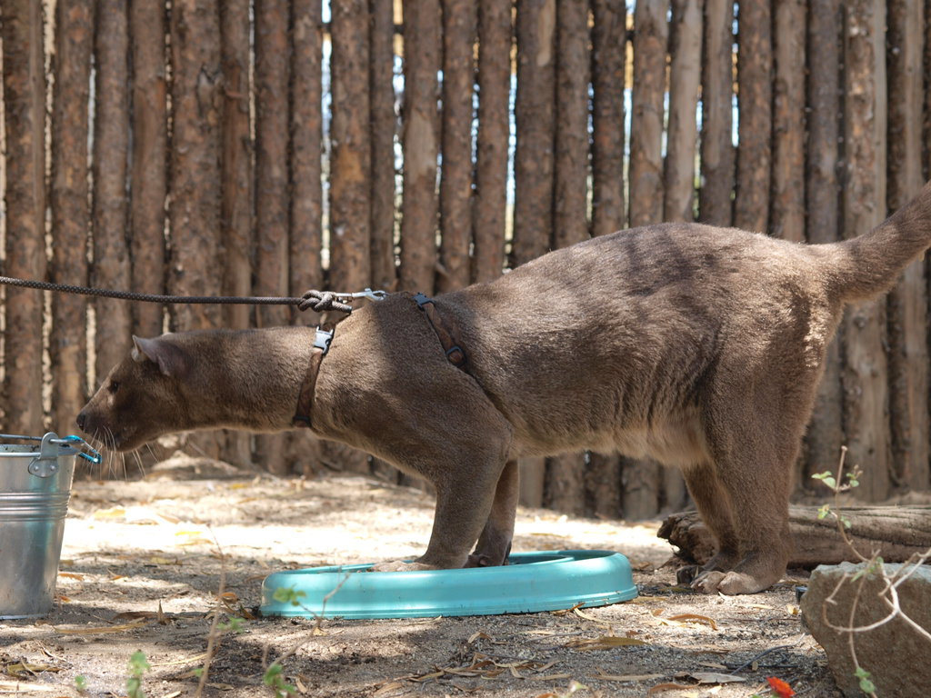 ArtSloth tweet media