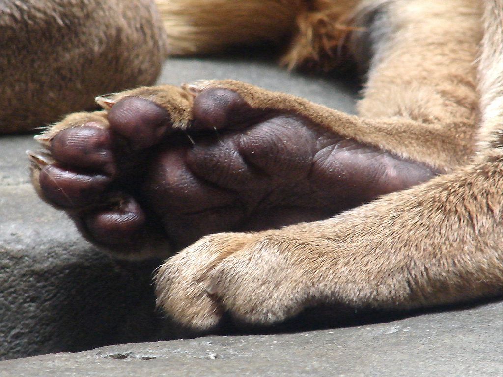 ArtSloth tweet media