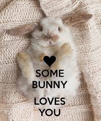 SexyTimeToy's tweet photo. Bondara #DealoftheWeek is 20% off rabbits!! #bunniesrule #singlefun
https://t.co/KV3w8nlGrP https://t.co/J7JIVScJg9