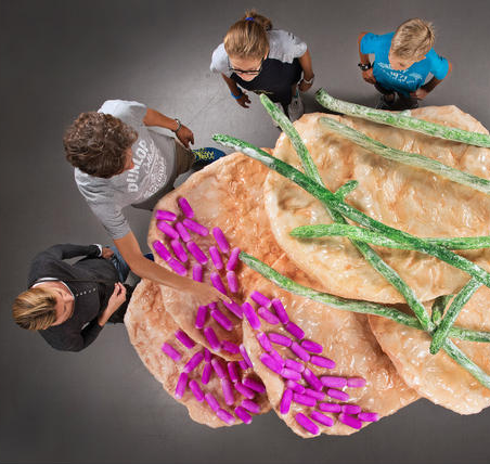 AMNH's tweet photo. Join us for a master class about the microbiome at the Musuem: https://t.co/mVB95MY75F #WorldInsideYou https://t.co/azGRlgleN6