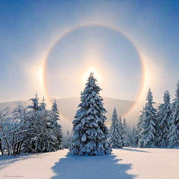 ☘Good morning☘
   Have a nice day‼︎**:.:**:.. ..:*❄️🌲❄️