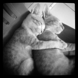 Bahagia itu mudah, tapi banyak yg tdk tahu caranya. Slamat pagi kawan