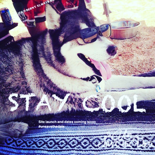 UnSavetheDate's tweet photo. #staycool #startuplife #sitelaunch #comingsoon #unsavedthedate https://t.co/n02VGzzUvi