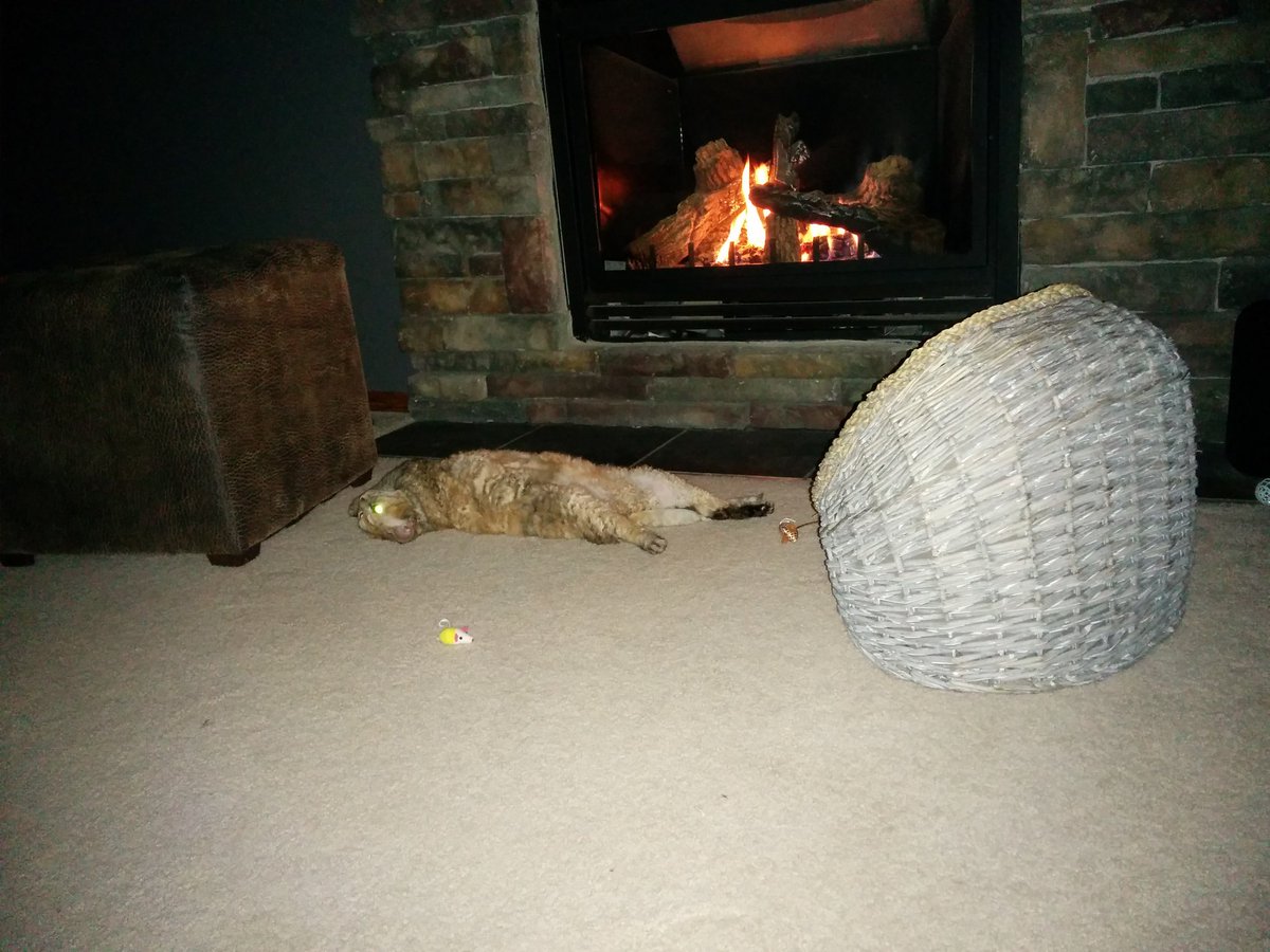 VicoMilk's tweet photo. Sheesh @RippleChip_Cat enjoying the fire?! https://t.co/0DtigVgORK
